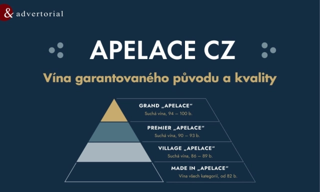 Akce - Wine &amp; Degustation